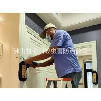 黄岐住宅白蚁防治工程